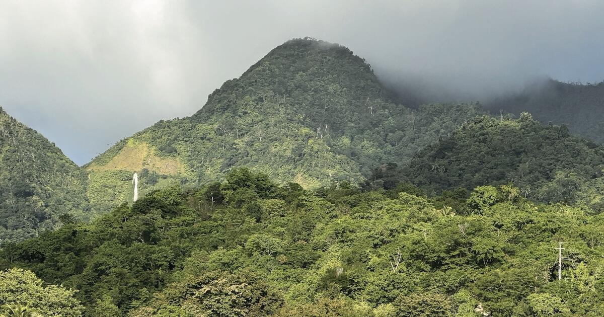 A True Reset on the Caribbean &lsquo;Nature Island,&rsquo; Dominica